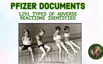 Pfizer Documents – 1291 Types of Adverse Reactions Identified