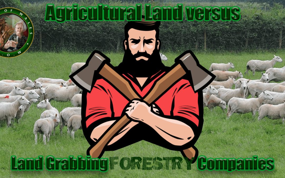 Agricultural Land versus Land Grabbing Forestry Companies